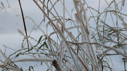 Similar image 21716678