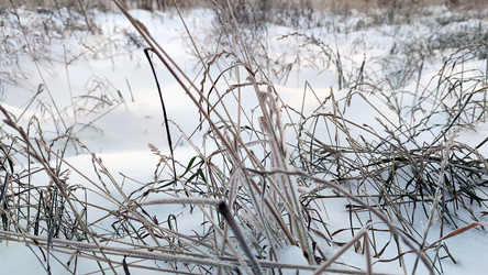 Similar image 21716679