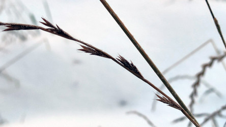 Similar image 21716680