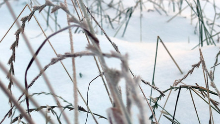 Similar image 21716681