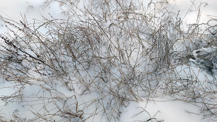 Similar image 21716682