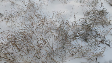 Similar image 21716683