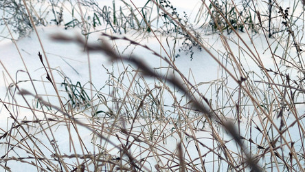 Similar image 21716684