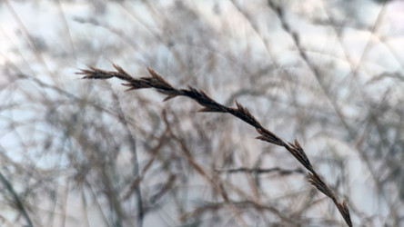 Similar image 21716685