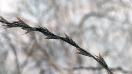 Similar image 21716686