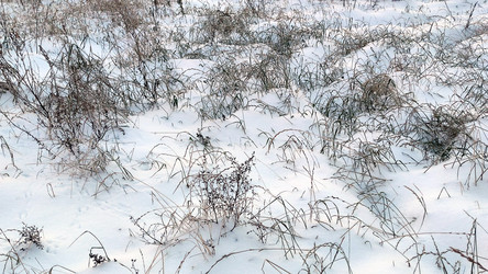 Similar image 21716687