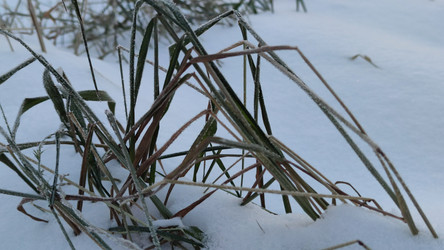 Similar image 21716688