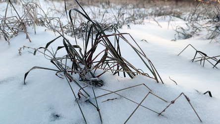 Similar image 21716689