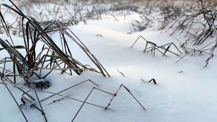 Similar image 21716690