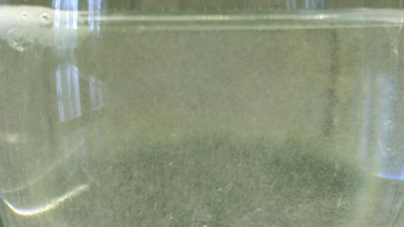 Similar image 21716699