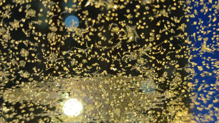 Similar image 21716743