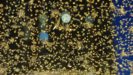 Similar image 21716744