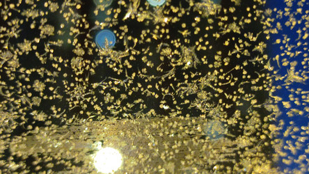 Similar image 21716745