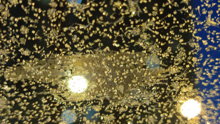 Similar image 21716746