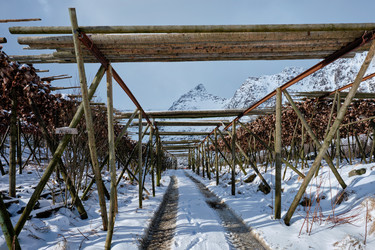 Similar image 21712344