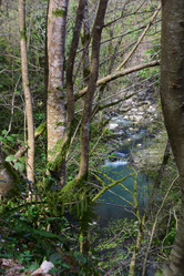 Similar image 21711767