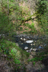 Similar image 21711768