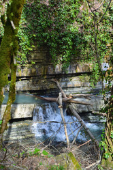 Similar image 21711771