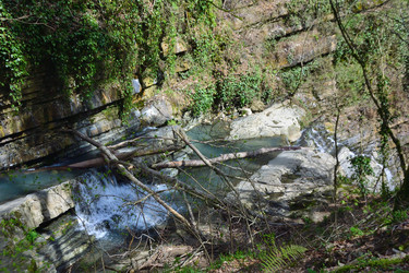 Similar image 21711772