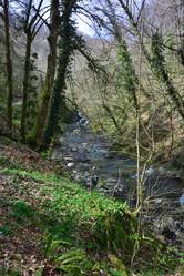 Similar image 21711774