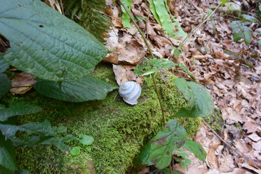 Similar image 21711775