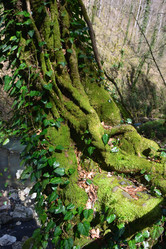 Similar image 21711777