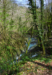 Similar image 21711779