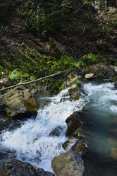 Similar image 21711783