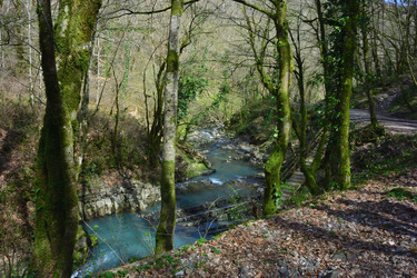 Similar image 21711786