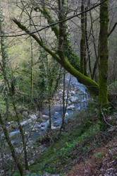 Similar image 21711788