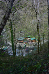 Similar image 21711790