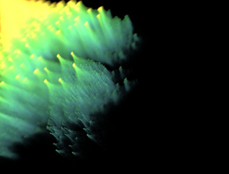 Similar image 21713833