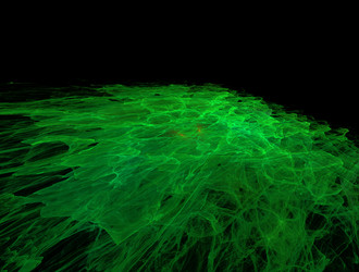 Similar image 21713838