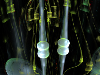 Similar image 21713552