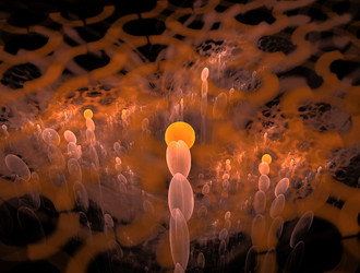 Similar image 21713566