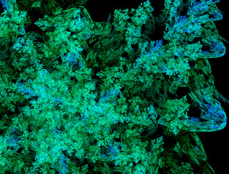 Similar image 21713567