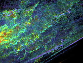 Similar image 21713605