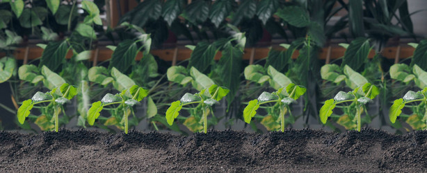 Similar image 21712167