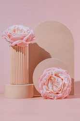 Similar image 21711646