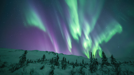 Similar image 21717422