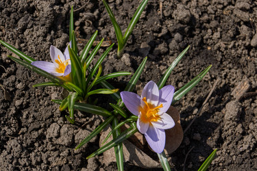 Similar image 21712491