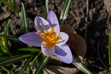 Similar image 21712493