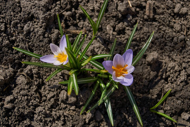 Similar image 21712495