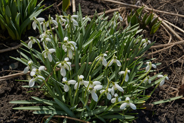 Similar image 21712498