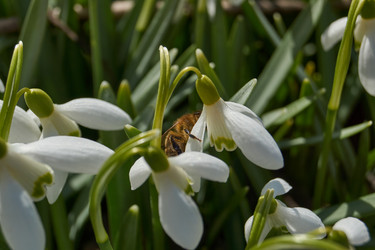 Similar image 21712499