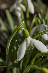 Similar image 21712500