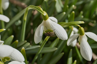 Similar image 21712501