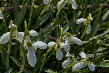 Similar image 21712502