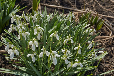 Similar image 21712503