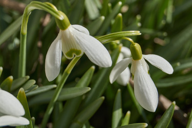 Similar image 21712506